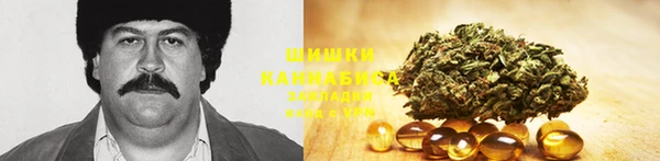 альфа пвп Нязепетровск