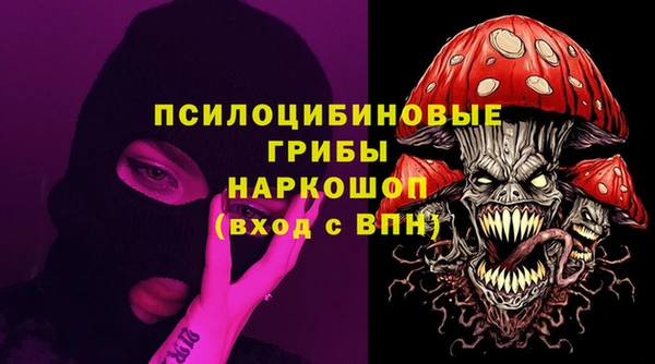 альфа пвп Нязепетровск
