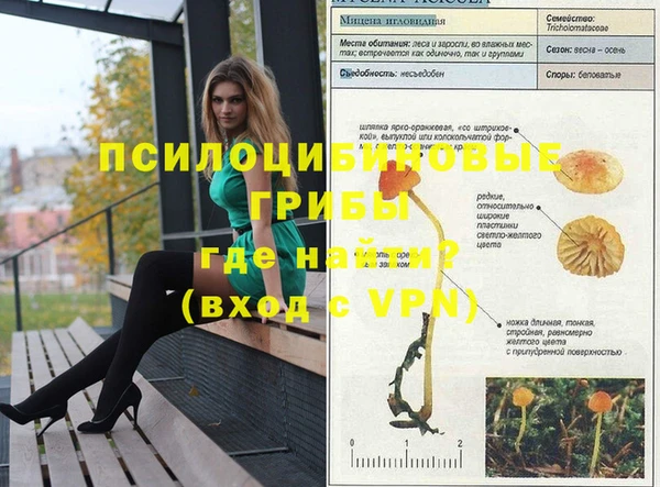альфа пвп Нязепетровск