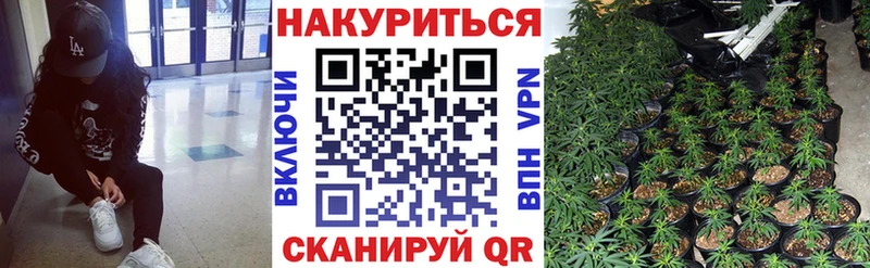 Шишки марихуана планчик Северобайкальск